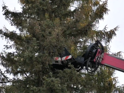 Video: Tree-trimmer im Einsatz