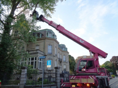 Fällarbeiten mitten in der Stadt Zürich