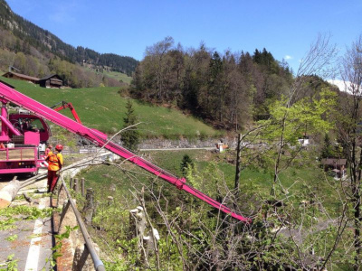 Tree-trimmer Fällgerät im Einsatz an der Haslibergstrasse im Brünig