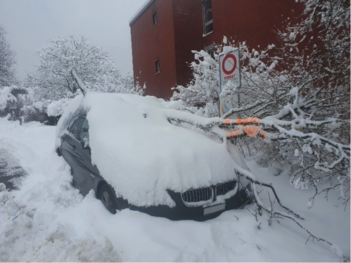 Notfällungen und abgebrochene Äste im Winter!