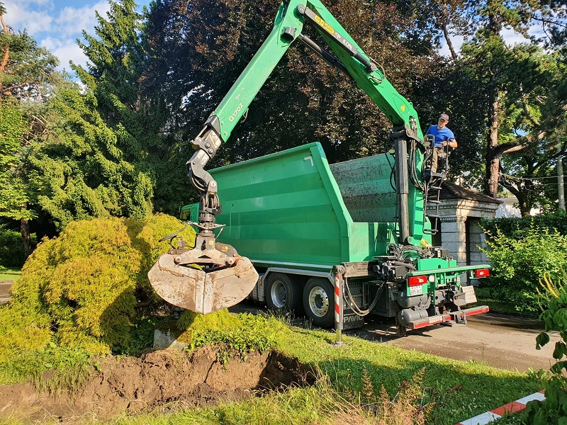 Baumersatz Grün Stadt Zürich