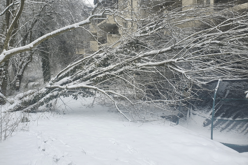 Kann der erste Schnee kommen?