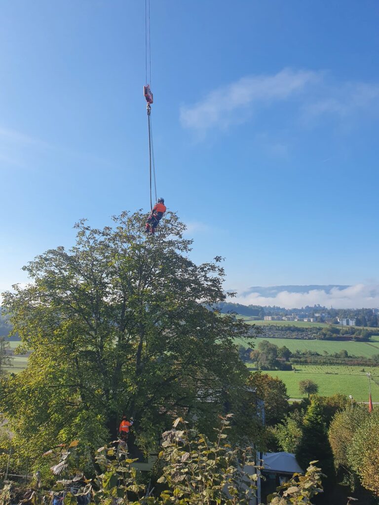 Unsere Kletterspezialisten im Einsatz