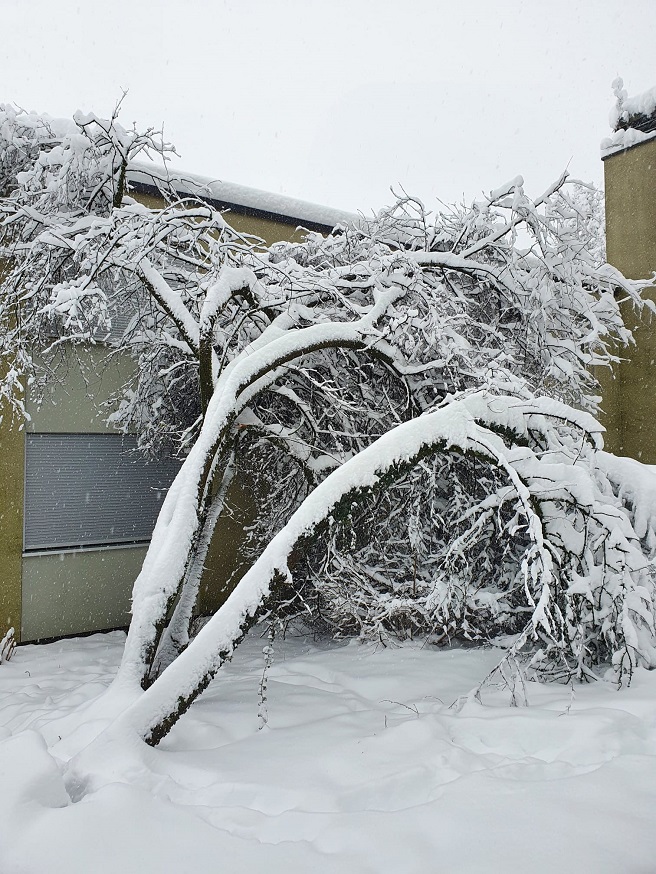 Vorbereitet für den Winter?