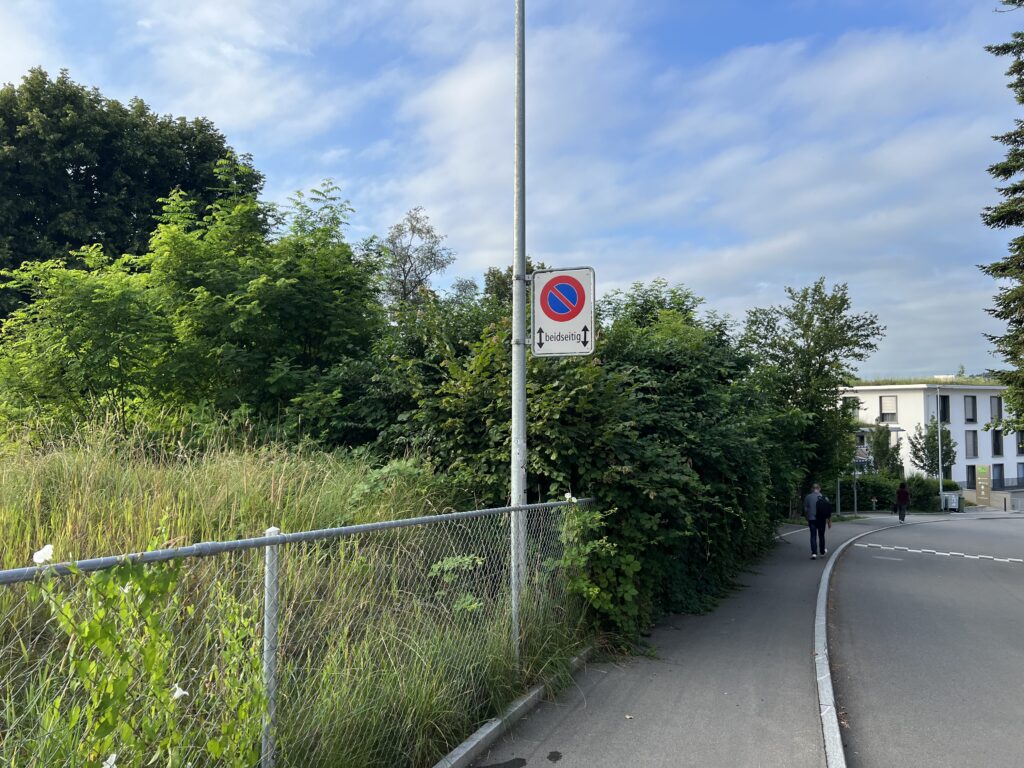 Rodungsarbeiten