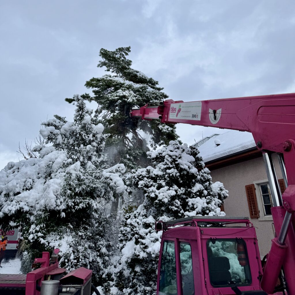 1. Adventsgrüsse