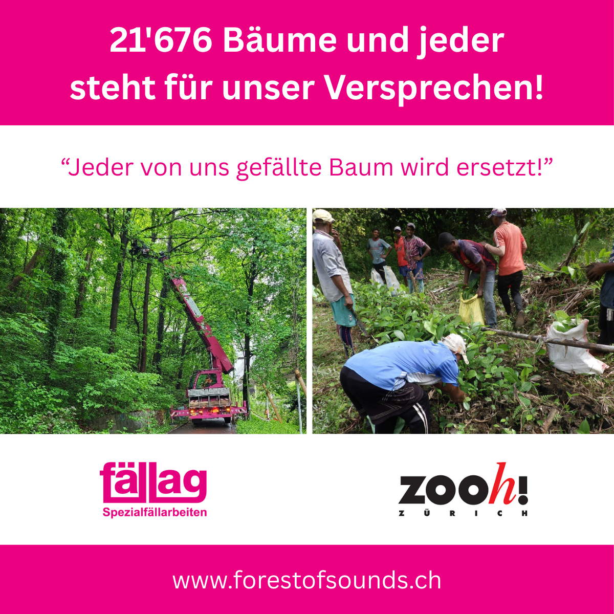 „Forest of Sounds Aufforstungsprojekt: 21’676 Bäume gepflanzt – Fällag und Zoo Zürich ersetzen jeden gefällten Baum“