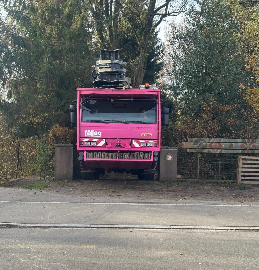 Baumfällungen im Wohnquartier