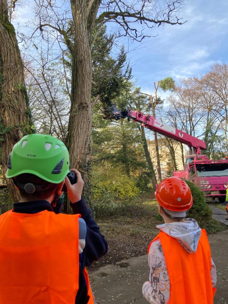 Nationaler Zukunftstag