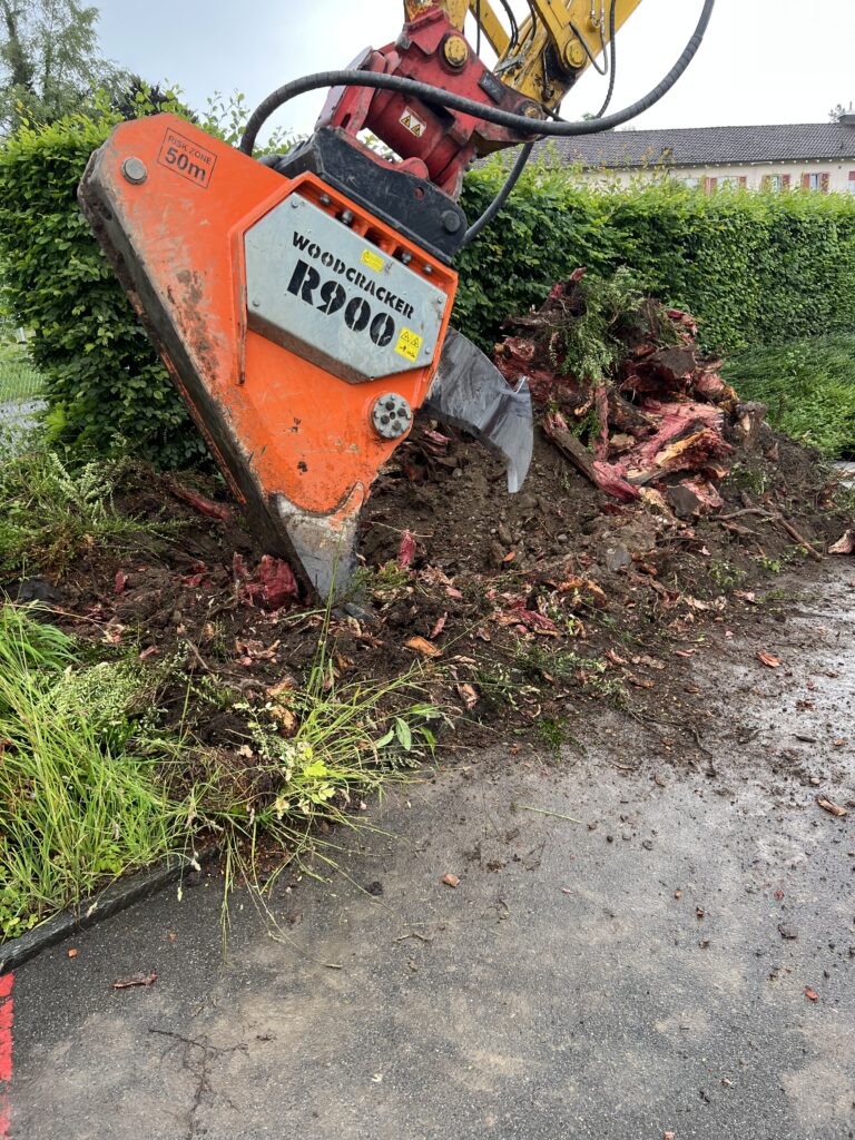 Wurzelstockentfernung