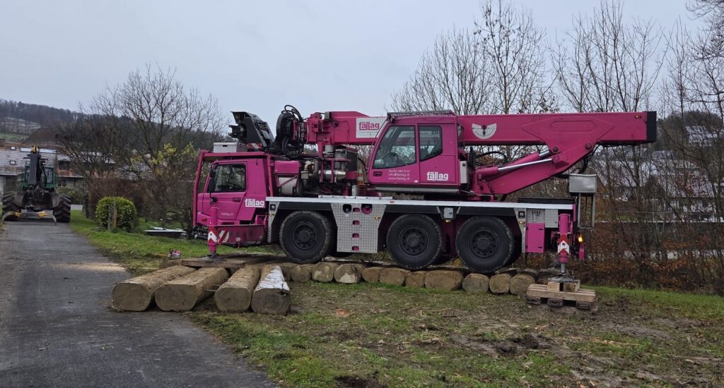 Sensibler Boden für Baumfällungen