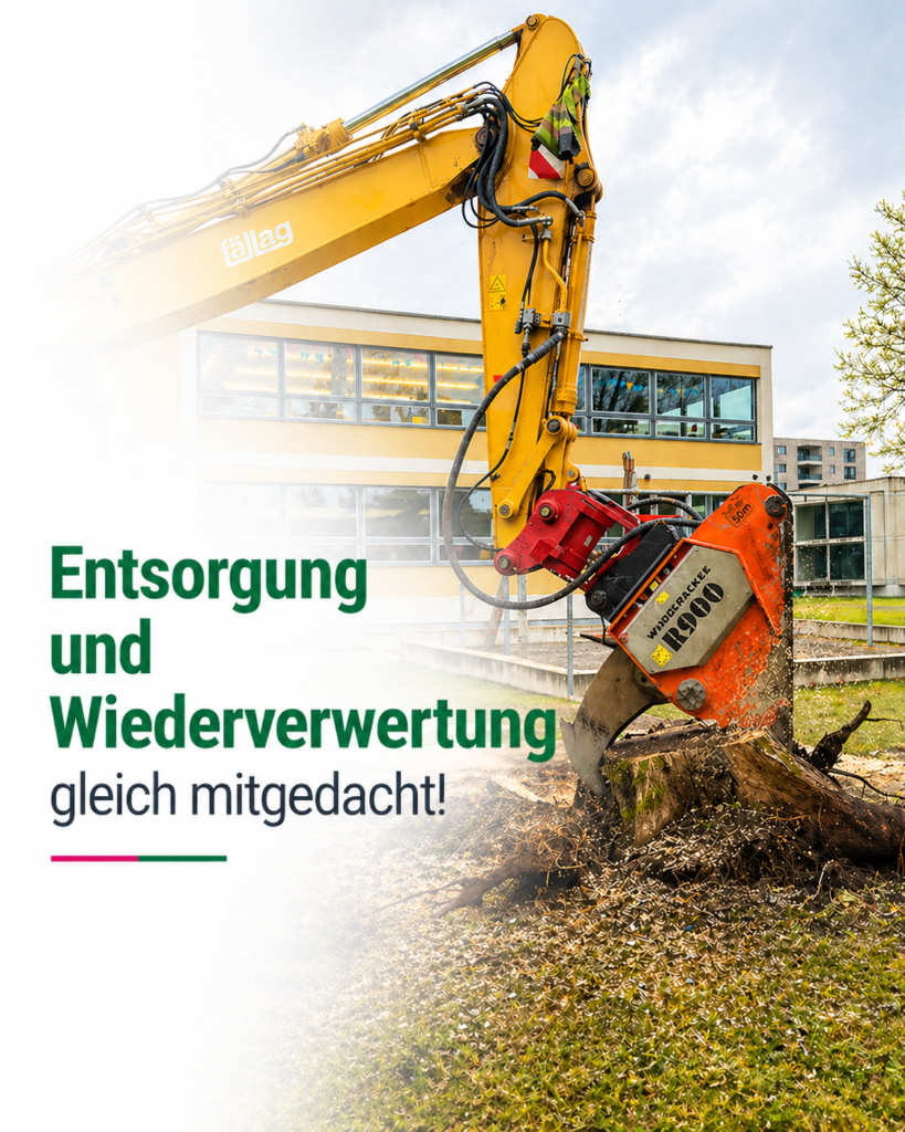 Wurzelstockentfernung, Wurzelstock entfernen