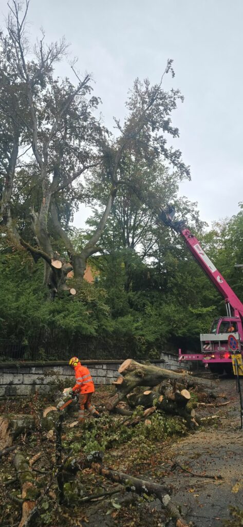 Tree-Trimmer bei enger Zufahrt auf einem Privatgrundstück
