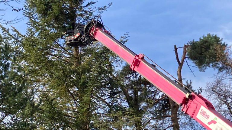 Bäume fällen Fehraltorf, Gartenholzerei Zürich, Tree-Trimmer, enge Platzverhältnisse, Wohnquartier